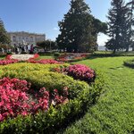 Photo taken by Michael E