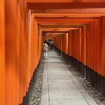 Photo taken by Caz J