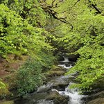 Photo taken by Lori R