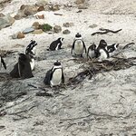 Photo taken by rhonda c