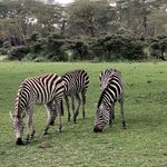 Photo taken by Virginia H