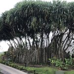 Beautiful | Photo taken by Nitin A