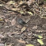 Photo taken by Don P