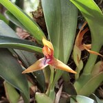 Photo taken by Kathy K