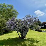 Photo taken by Jamie M