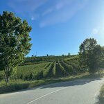 Photo taken by Bobbie X