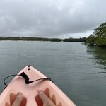 Photo taken by Thomas R