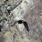 Photo taken by Marsha W