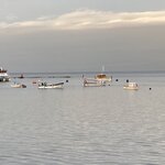 Photo taken by Marcia R