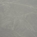 Photo taken by Jason P