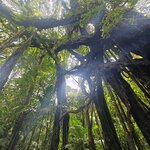 Photo taken by Valerie K