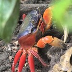 Photo taken by Morton A