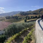 Photo taken by Patty D