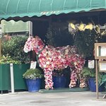 Photo taken by Kathleen L