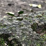 Photo taken by Martin L