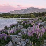 Photo taken by Trent G