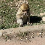 Photo taken by Heather H