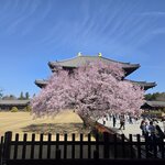 Photo taken by Judith W