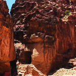 Photo taken by Krish I