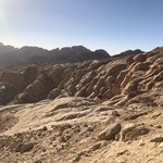 Photo taken by Marion M