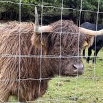 Photo taken by David L