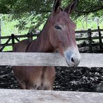 Photo taken by Sheila G