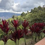 Photo taken by Tricia E