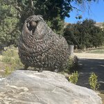 Photo taken by William F