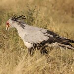 Photo taken by Joaquin M