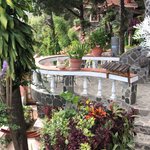 Photo taken by Brunna A