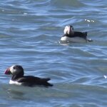 Photo taken by Yumi A