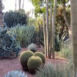 Photo taken by Mark L