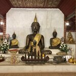 Photo taken by Shaula L