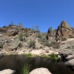 Photo taken by Silvain B