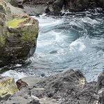 Photo taken by Cara W