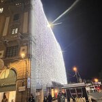 Photo taken by Shannon S