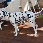 Photo taken by William R