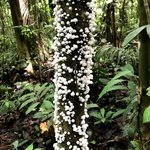 Photo taken by Sophie E