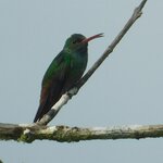 Photo taken by Brett F