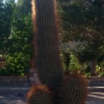 Nice... | Photo taken by Dave E