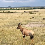 Photo taken by Virginia H