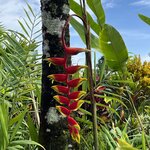 Photo taken by Victoria C