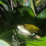 Photo taken by Alexia M