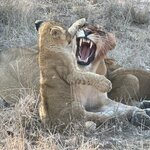 Photo taken by Tom B