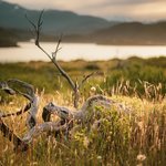 Photo taken by timothy m