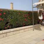 Photo taken by Jay H