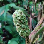 Photo taken by Mordechay T