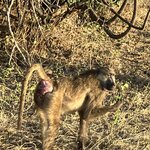 Photo taken by rhonda c