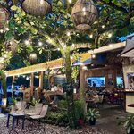 Photo taken by Susan O