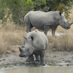 Photo taken by Linette B